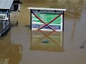 Hochwasser (334)